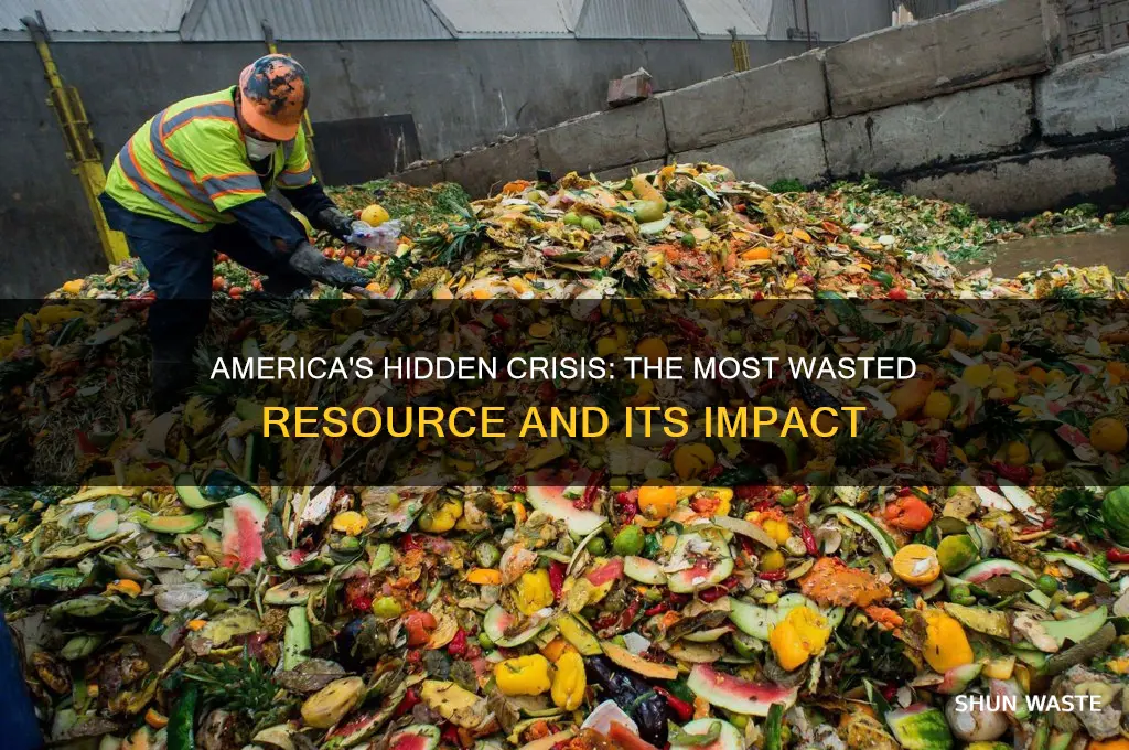 what is the most wasted resource in the us