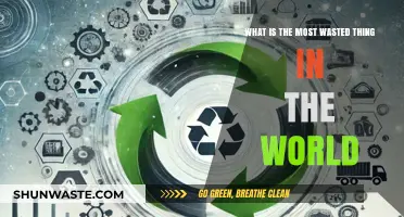 The World's Most Wasted Resource: Uncovering the Shocking Truth