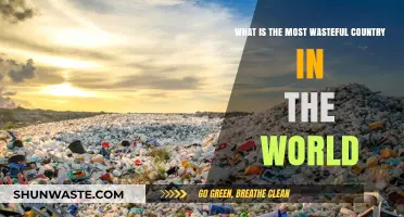 Global Waste Crisis: Which Country Tops the List of Excess?
