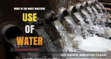 Wasted Water: The Shocking Truth About Our Most Careless Usage