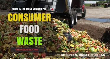 Understanding the Most Common Pre-Consumer Food Waste Issues