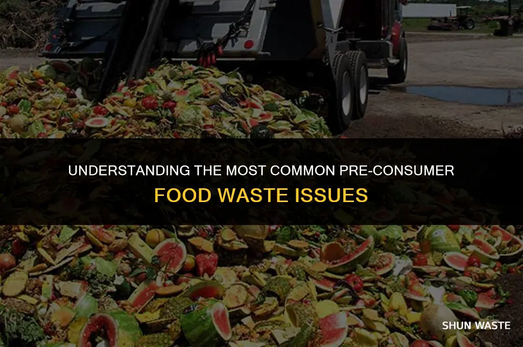 what is the mosy comnon pre consumer food waste