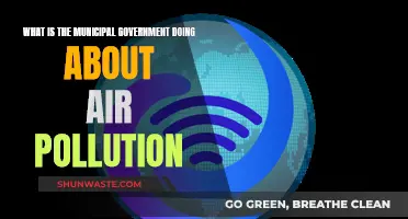 Municipal Action Plan: Tackling Air Pollution