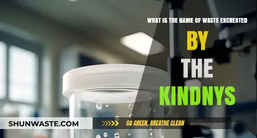 Understanding Kidney Waste: The Name and Role of Urea Excretion