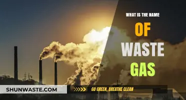Understanding Waste Gas: Identifying and Naming Harmful Emissions