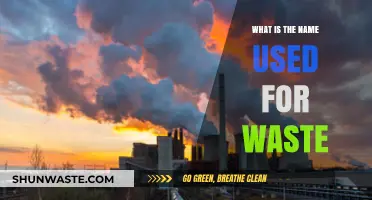 Understanding Waste Terminology: What Do We Call Discarded Materials?