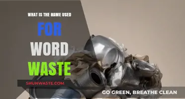 Unveiling the Term for Word Waste: Exploring Linguistic Efficiency