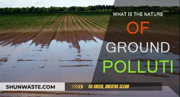 Groundwater Pollution: Understanding the Nature of Contamination