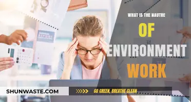 Exploring the Nature of Environmental Work: Challenges and Impact