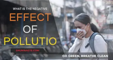 Pollution's Harmful Impact: Understanding the Devastating Effects