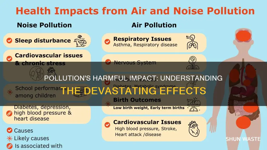 what is the negative effect of pollution