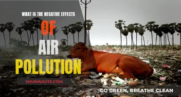 Air Pollution: Harmful Impacts on Our Health and Environment