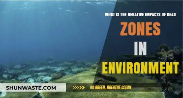 Dead Zones: Devastating Environmental Impacts and Ecosystem Consequences