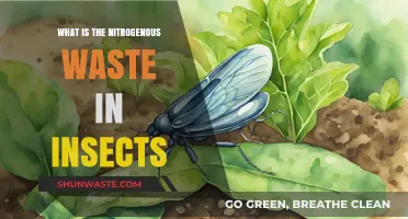 Insect Nitrogenous Waste: Understanding Excretion Processes in Tiny Creatures