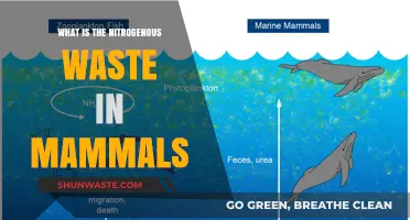 Understanding Nitrogenous Waste in Mammals: Types, Functions, and Excretion