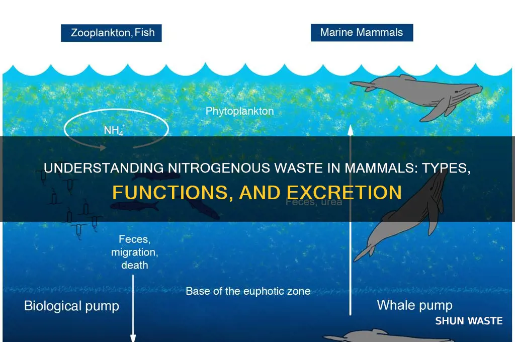 what is the nitrogenous waste in mammals