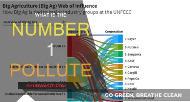 Who's the Top Polluter?