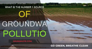 Groundwater Pollution: The Leading Contaminant Source