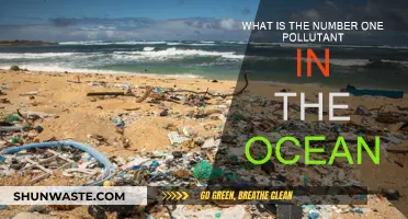 Ocean Pollution: What's the Main Culprit?