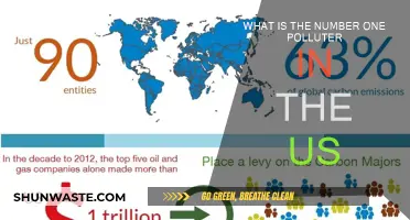 Who is the Major Polluter in the US?