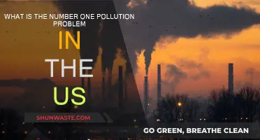 Pollution's Top Problem in the US