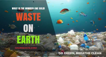 Earth's Top Solid Waste: Unveiling the Most Prevalent Debris