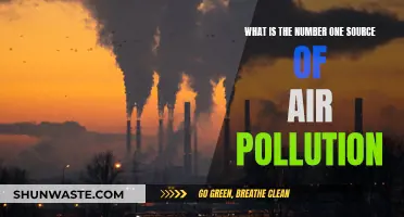 Leading Air Pollutant: Understanding the Primary Source