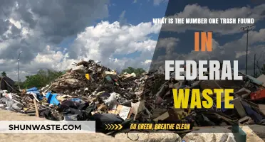 Top Trash Item Dominating Federal Waste: A Surprising Discovery