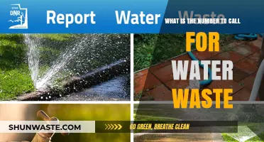 Need to Report Water Waste? Here’s the Number to Call