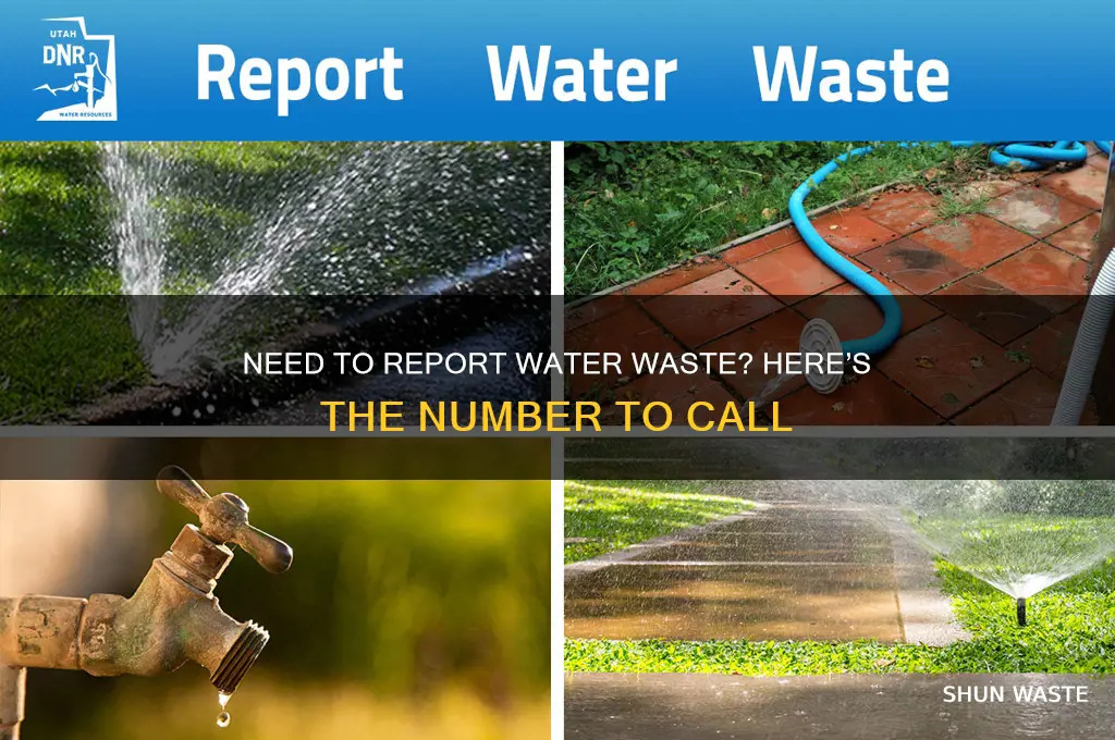 what is the number to call for water waste