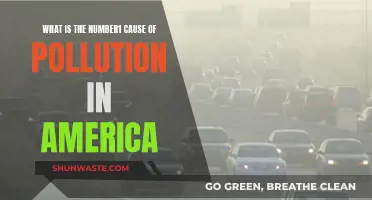 Unveiling America's Hidden Environmental Enemy: The Top Polluter Revealed