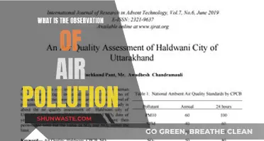 Air Pollution: Observing the Unseen