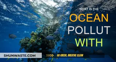 The Ocean's Pollution: What's Harming Our Seas?