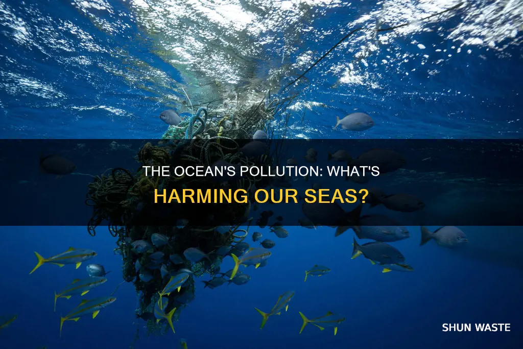 what is the ocean polluted with