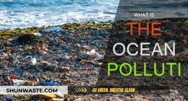 The Ocean's Plight: Understanding Pollution's Impact