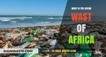 Exploring Africa's Ocean Waste Crisis: Causes, Impacts, and Solutions