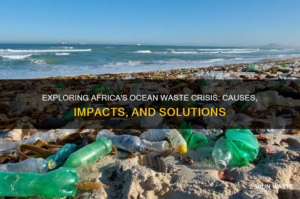 what is the ocean wast of africa