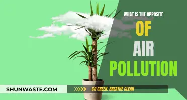 Nature's Purification: Breathing Life into Our Planet