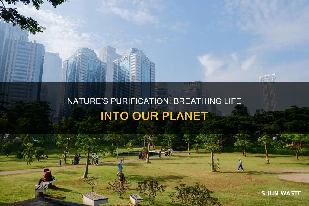 what is the opposite of air pollution