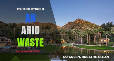 From Arid Waste to Lush Oasis: Exploring Nature's Vibrant Opposite