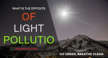 Exploring the Benefits of Pristine Dark Skies