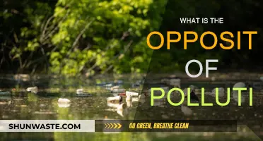 Preserving Nature: The Anti-Pollution Guide
