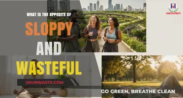 Efficient and Mindful: Embracing the Opposite of Sloppy and Wasteful