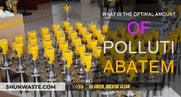 How Much Pollution Abatement is Enough?