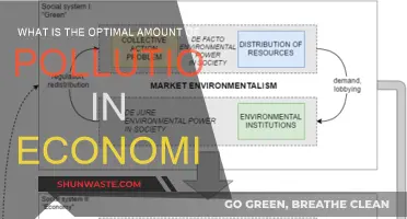 Pollution's Economic Sweet Spot: Finding the Balance