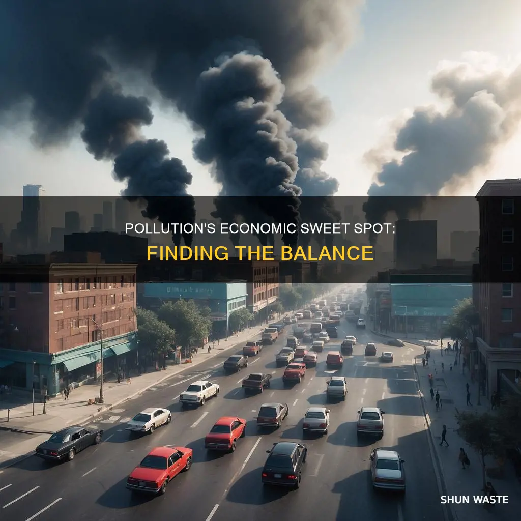 what is the optimal amount of pollution in economics