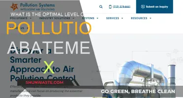 Pursuing Pollution Abatement: Finding the Sweet Spot