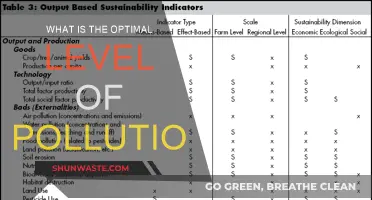Pollution's Sweet Spot: Finding the Optimal Level