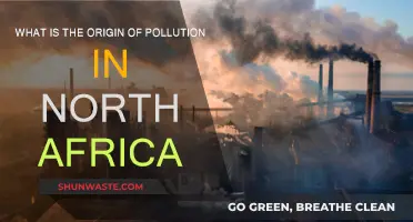 North Africa's Pollution: Uncovering the Root Causes