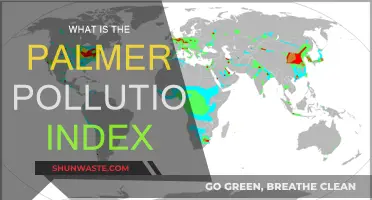 Understanding the Palmer Pollution Index: A Comprehensive Guide